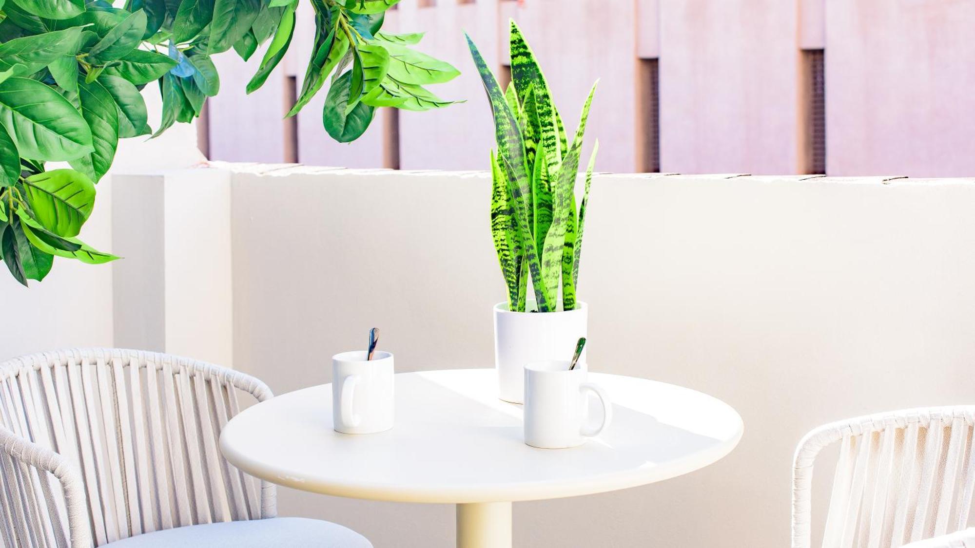Myflats Premier Suites Alicante Kültér fotó